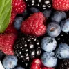 ​Фрукти і ягоди з України знаходять нові ринки збуту