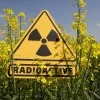 ​Добровільна здача радіоактивних матеріалів більше не карається законом