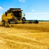​Новини України: Світові ціни на пшеницю зростають через зменшення поставок з Росії