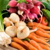 В Україні вироблять більше органічних продуктів