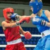 У Львові розпочався чемпіонат Європи з боксу серед молоді