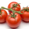 ​У 2015 році помідори можуть стати дефіцитом