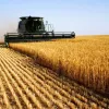 Агропромисловість України може отримати 5 мільярдів гривень