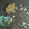 Знайдено асфальт на глибині 2 км під водою