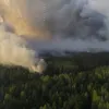 На Чорнобилі горять ліси