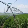 ​Україна перейматиме агротехнічний досвід Ізраїлю