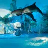 Столичний дельфінарій – офіційно поза законом
