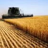 Європа посприяє розвитку аграрного сектору України