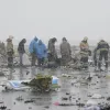 Розслідування катастрофи Боїнга 777 затягнеться приблизно на рік