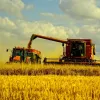 ​В Україні вже зібрали близько 63 млн. тонн зернових