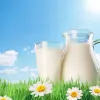 ​Молоко в Україні не дорожчатиме