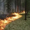 Україні загрожує пожежна небезпека