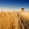 ​Аграрний бізнес в Україні зазнає поліпшення
