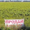 ​Фобии очумелых: о продаже сакральной украинской земли