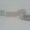 ​Снег и туман: в сети показали фото "зимнего" лета в Карпатах