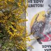 ​Бакалаври опору: як у Києві готуватимуть координаторів підпілля