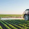 Стан аграрної промисловості в Україні: проблеми й тенденції розвитку