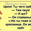 ​ 			 	  	Юмор по-одесски: свежая подборка смешных анекдотов 	  	 	  