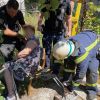 У Кам’янському врятували жінку, яка впала у колодязь У Кам’янському врятували жінку, яка впала у колодязь