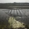 ​Продовольча та сільськогосподарська організація ООН: китайські фермери страждають через руйнівні повені