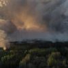Горів Чорнобильський ліс: для подолання вогню залучили 90 людей та 21 одиницю техніки Горів Чорнобильський ліс: для подолання вогню залучили 90 людей та 21 одиницю техніки
