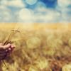 ​Росіяни атакували узбережжя Миколаївщини, порти та зерносховища