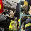 На Хмельниччині рятувальники визволили кошеня, яке застрягло в автівці, ховаючись від холоду