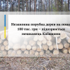 Незаконна порубка дерев на понад 100 тис. грн – підозрюється мешканець Київщини Незаконна порубка дерев на понад 100 тис. грн – підозрюється мешканець Київщини