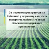 За позовом прокуратури на Київщині у державну власність повернуть майже 5 га землі сільськогосподарського призначення