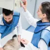 ​Ветеринарні рентген-апарати: особливості використання