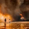 Інформаційний центр з міжнародних досліджень Cordis: як австралійські лісові пожежі вплинули на зону океану