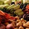 Україна стала лідером серед експорту овочів та фруктів