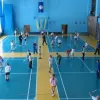 На Донеччині прокуратура домоглась у суді скасування рішення про ліквідацію дитячої спортивної школи