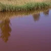 Прокуратура вимагає від криворізького підприємства відшкодування збитків за забруднення річки Інгулець