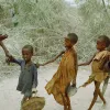 ВПП ООН попереджає, що ще 3 мільйони людей перебувають на межі голоду