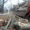 ​Вінничани заготували дрова для сільського ліцею