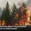 Російське вторгнення в Україну : На тимчасово окупованій Херсонщині горять ліси