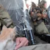 ​"Бойові побратими": собаки та коти в бліндажах
