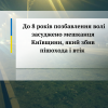 До 8 років позбавлення волі засуджено мешканця Київщини, який збив пішохода і втік До 8 років позбавлення волі засуджено мешканця Київщини, який збив пішохода і втік