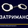В Миколаєві заарештували жінку, яка наїхала на пішохода В Миколаєві заарештували жінку, яка наїхала на пішохода