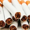 ​На Запоріжжі поліцейські вилучили 10 тисяч пачок цигарок