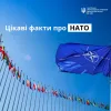 Що варто знати про НАТО: добірка цікавих фактів Що варто знати про НАТО: добірка цікавих фактів