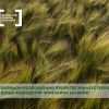 Порядок розроблення проекту землеустрою щодо відведення земельної ділянки Порядок розроблення проекту землеустрою щодо відведення земельної ділянки