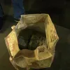 ​В Киеве чиновник ГФС принес для Холодницкого сумку с 6 млн долларов