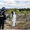 ​У Лимані на Донеччині завершили ексгумацію на місці масового поховання