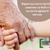 Юристка системи БПД допомогла бабусі захисти права її онуків Юристка системи БПД допомогла бабусі захисти права її онуків