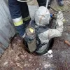 Визволителі: в Дніпрі рятувальники визволили цуценят