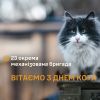 ​Котики на передовій: пухнасті побратими воїнів 23 ОМБр 