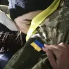 ​Азовців можуть обміняти на кадирівців, заявив російський політик Андрій Піонтковський