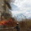 Рятувальники Херсонщини за тиждень загасили 54 пожежі в екосистемах області